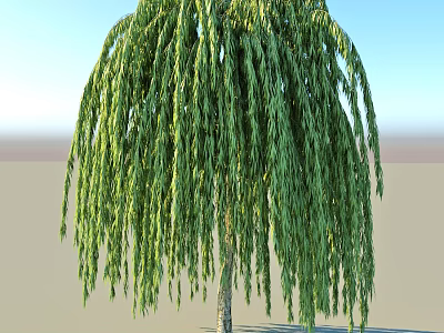 The Graceful Weeping Willow Tree with Long Hanging Green Branches Against Clear Blue Sky 3d model