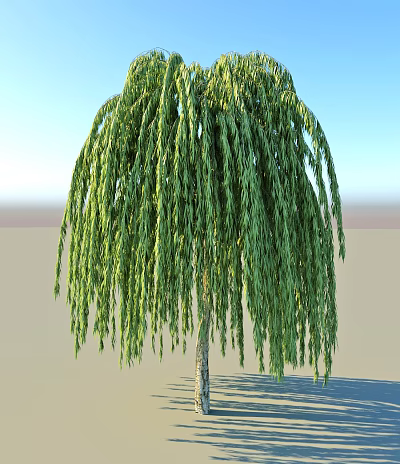 The Graceful Weeping Willow Tree with Long Hanging Green Branches Against Clear Blue Sky 3d model