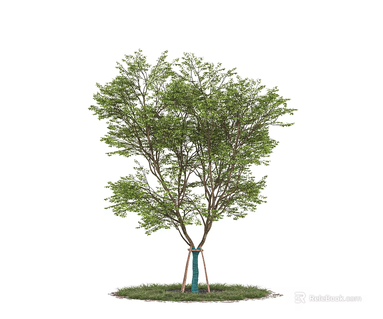 Lush Green Arbor With Thick Trunk And Blue Support On Green Grass Base 3d model