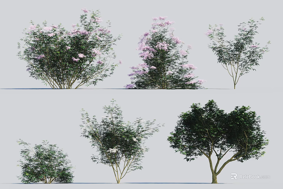 Different Types of Flowering Arbor With Pink Blossoms And Green Foliage For Landscaping 3d model 
