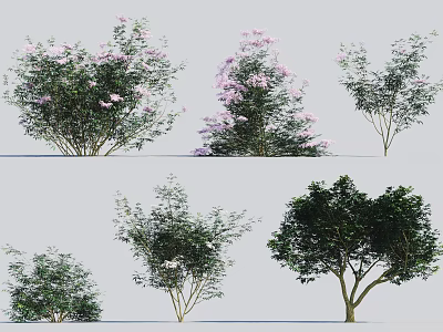 Different Types of Flowering Arbor With Pink Blossoms And Green Foliage For Landscaping 3d model
