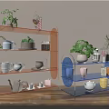 Modern Wooden and Acrylic Shelving Units Displaying Plants Mugs Teapots and Decorative Jars