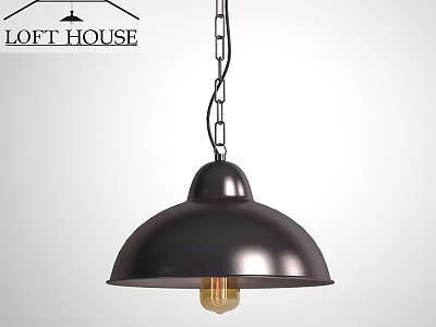 Loft Style Black Metal Pendant Light With Dome Shaped Shade And Hanging Chain 3d model