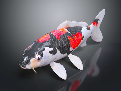 Colorful Koi Fish With Red White Black Patterns And Shiny Surface Reflection 3d model