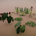 Diverse Green And Colorful Foliage Plants Arranged On Brown Background Surface