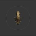 Majestic Brown Elk With Large Antlers Standing On Gray Background In Studio