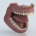 Mouth 3d model