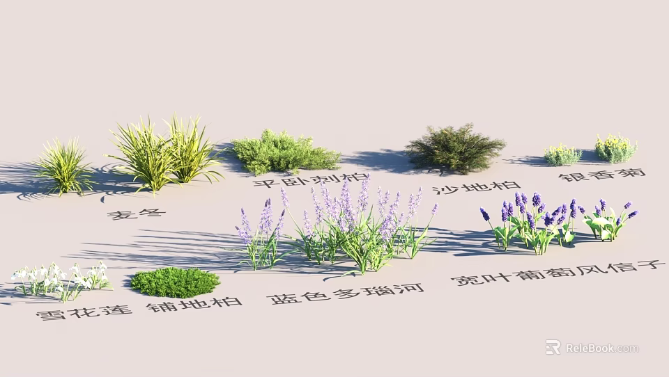 Garden Landscape With Diverse Green Plants Lavender And Creeping Shrubs For Outdoor Design 3d model 