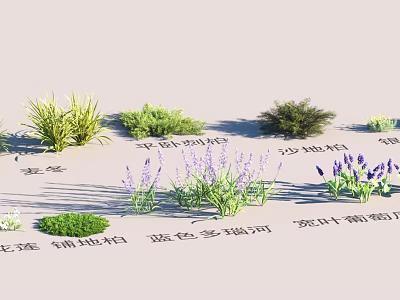 Garden Landscape With Diverse Green Plants Lavender And Creeping Shrubs For Outdoor Design 3d model