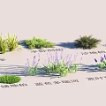 Garden Landscape With Diverse Green Plants Lavender And Creeping Shrubs For Outdoor Design