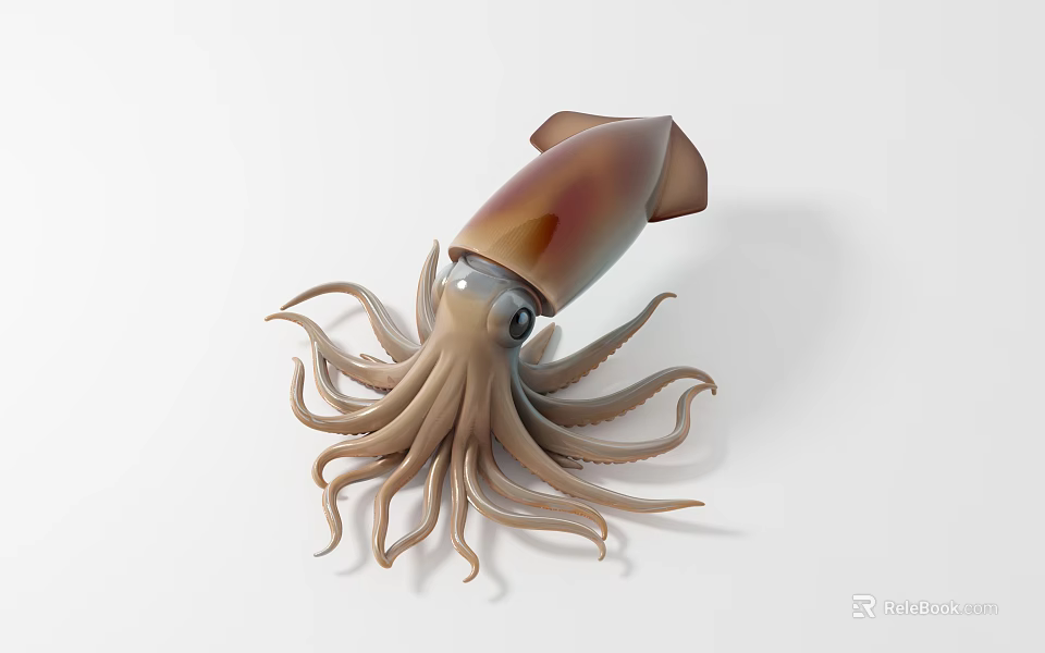 Brown Squid With Torpedo Shaped Body And Long Curved Tentacles On White Background 3d model 