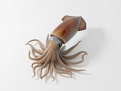 Brown Squid With Torpedo Shaped Body And Long Curved Tentacles On White Background 3d model