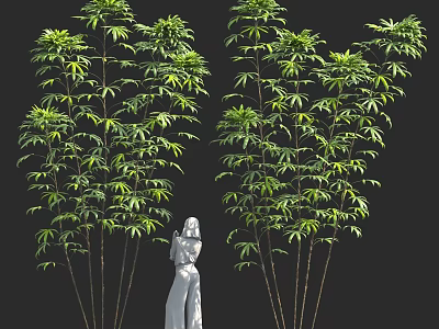 Green Trees With Slender Trunks Lush Leaves And White Human Statue 3d model