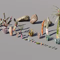 Various Types Of Succulent Plants And Cacti With Stones For Indoor Decor