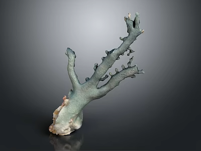 Coral Like Plant with Branched Structure Teal Color Textured Base against Dark Background 3d model