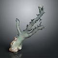 Coral Like Plant with Branched Structure Teal Color Textured Base against Dark Background