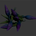 Botanical Plant with Purple Buds and Green Stems Growing Naturally