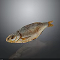 Whole Dried Fish with Golden Brown Appearance and Dry Textured Surface