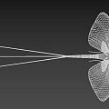 Green Mayfly With Long Antennae Large Transparent Wings And Reflection On Smooth Surface