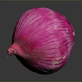Vibrant Pink Onion With Shiny Surface On Dark Background And Reflection 3d model