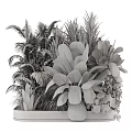 Garden Decorative Plant Arrangement With Various Green Plants In Wooden Planter