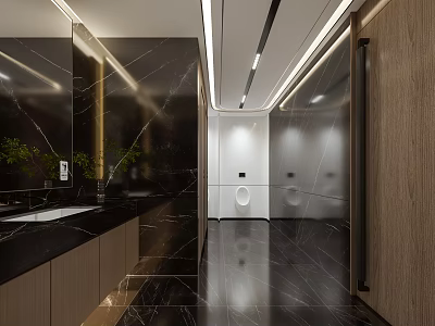 Modern Elegant Public Toilet Interior Design With Black Marble Walls And Lighting 3d model