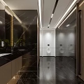 Modern Elegant Public Toilet Interior Design With Black Marble Walls And Lighting