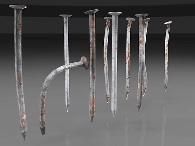 Rusty Old Metal Nails Of Various Sizes And Shapes On Reflective Surface 3d model
