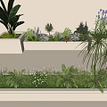 Mixed Plant Combinations in White Rectangular Planters with Flowering Herbs and Green Foliage 3d model
