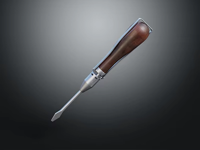 Sturdy Hardware Tool With Wooden Handle And Metal Tip For Various DIY Projects 3d model