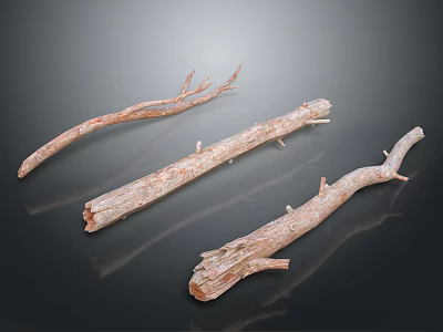 Dried Plant Branches with Natural Texture for Home Decor on Smooth Dark Surface 3d model