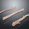 Dried Plant Branches with Natural Texture for Home Decor on Smooth Dark Surface