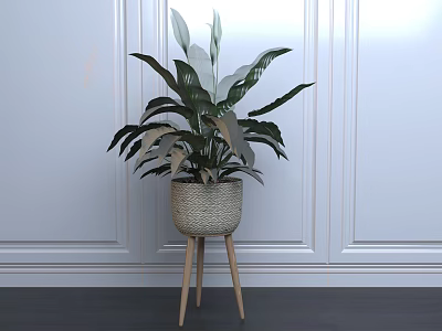 Indoor Potted Plant in Woven Basket on Three Legged Wooden Stand 3d model