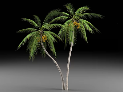 Two Palm Trees With Green Leaves And Yellow Fruits On Slender Trunks 3d model