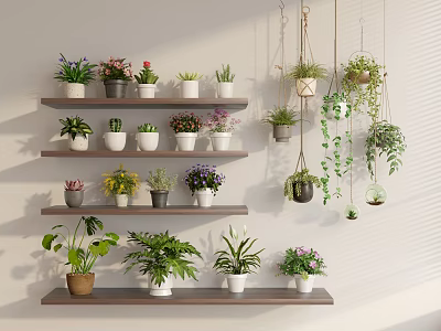 Bonsai and Potted Plants on Wooden Shelves with Grey Wall Hanging Greenery and Mixed Blooms 3d model