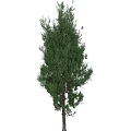 Decorative Ornaments Combination With Green Tree Decor And Small Figurine For Home