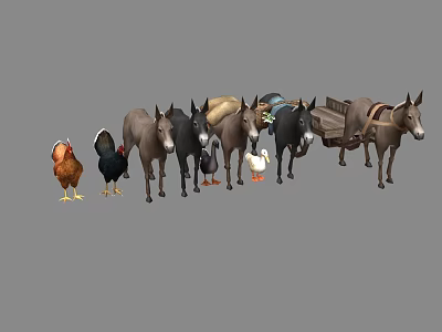 Various Reptile Species Including Lizards Snakes And Turtles In Natural Habitat 3d model