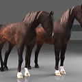 Two Brown Horses With White Hooves Standing On Gray Floor
