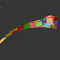 Bird Skull Skeleton With Long Curved Beak And Detailed Bone Structure