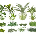 Assorted Green Plants Collection Featuring Different Leafy Species And Foliage Varieties