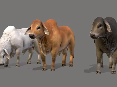 Three Colored Reptile 3D Models Standing On Grey Background Surface 3d model