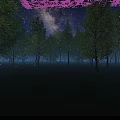 Enchanting Night Forest Scene With Starry Sky Milky Way Fireflies And Tall Trees