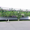 Vines Covering White Wall With Purple Flowers Hanging In Outdoor Area Where Two People Stand