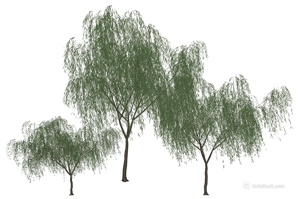Weeping Willow Arbor With Green Drooping Leaves And Various Sizes In Natural View 3d model 