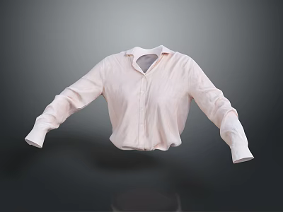 White Collared Long Sleeve Shirt In Classic Style For Daily Wear 3d model