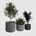 Elegant Bonsai Potted Plants with Various Greenery in Textured Gray Planters for Indoor Decor