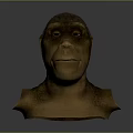 Ape Head Bust Sculpture Carving With Bronze Metallic Texture And Detailed Features