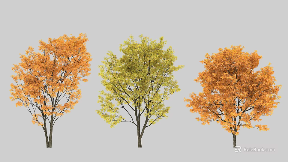 Vibrant Autumn Trees with Orange Yellow and Red Leaves in Lush Foliage 3d model 