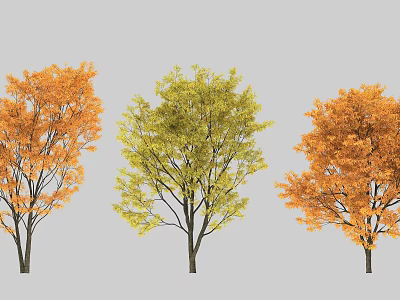 Vibrant Autumn Trees with Orange Yellow and Red Leaves in Lush Foliage 3d model
