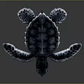 Cute Blue Green Hatchling Sea Turtle With Patterned Shell And Flippers On Dark Background 3d model